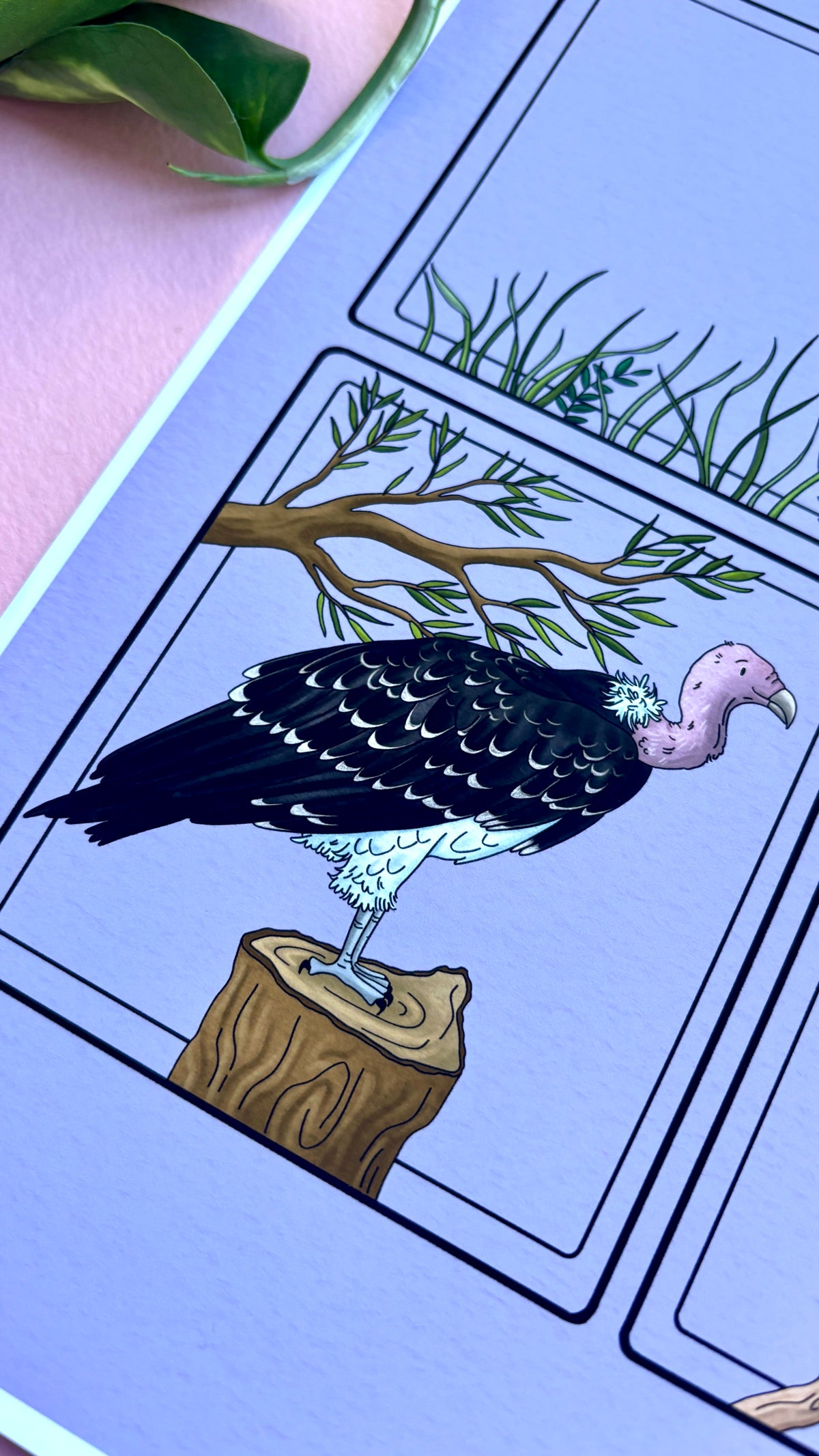 African Vulture Species Illustration Charity Art Print
