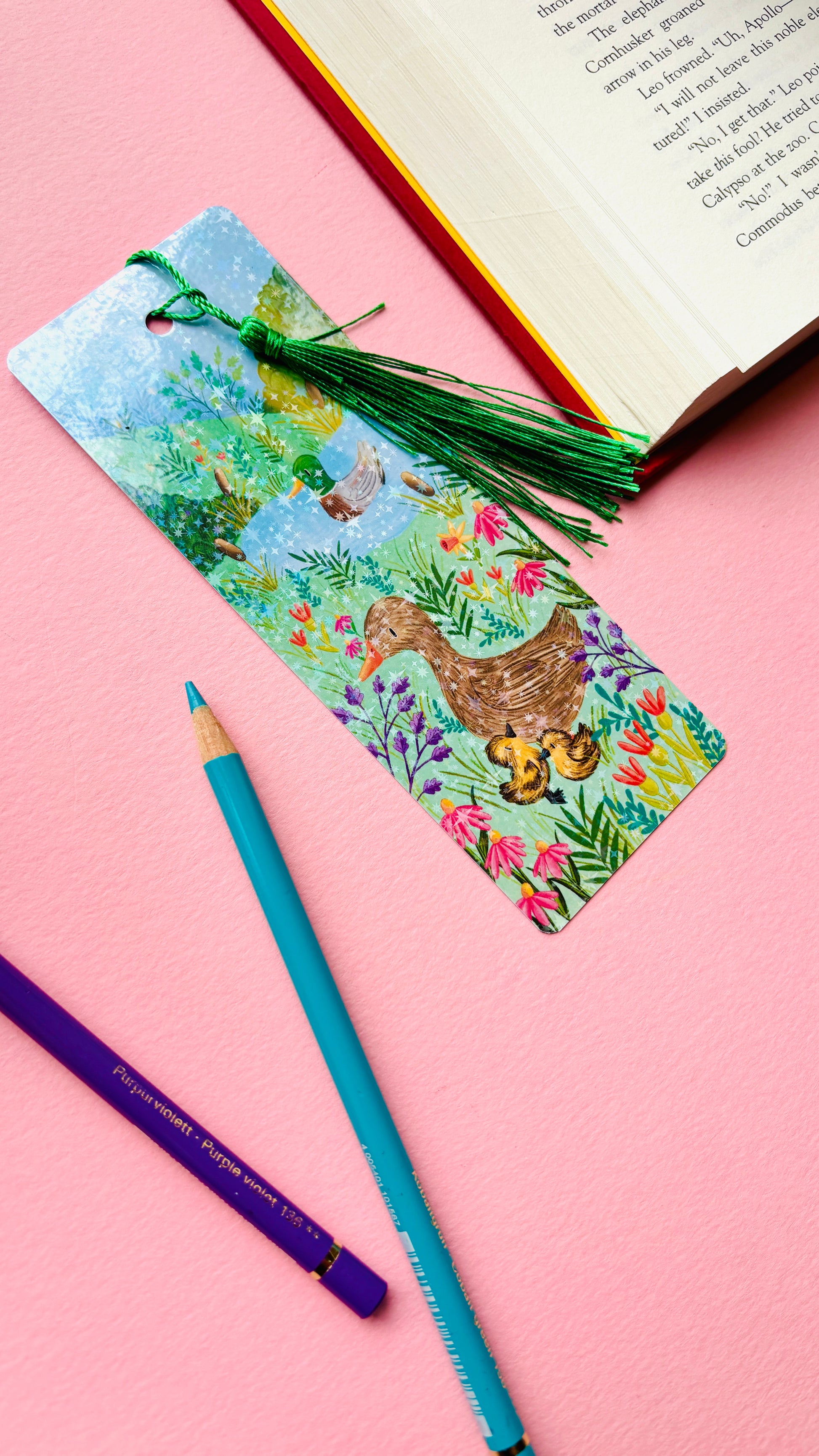 gift for book lovers inspired by British wildlife with duck art