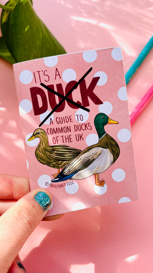 A funny illustrated guide to uk ducks. This mini zine is a cute fast guide to recognising common British ducks 