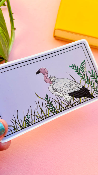 White Backed Vulture Illustrated Waterproof Sticker- Nature Stationery