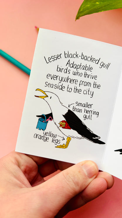 It’s not a seagull zine- a guide to common gulls of the UK