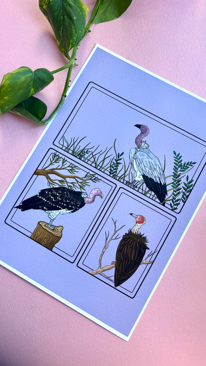 African Vulture Species Illustration Charity Art Print