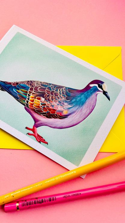 Bronze-Wing Pigeon Blank Art Card- Wildlife Illustration