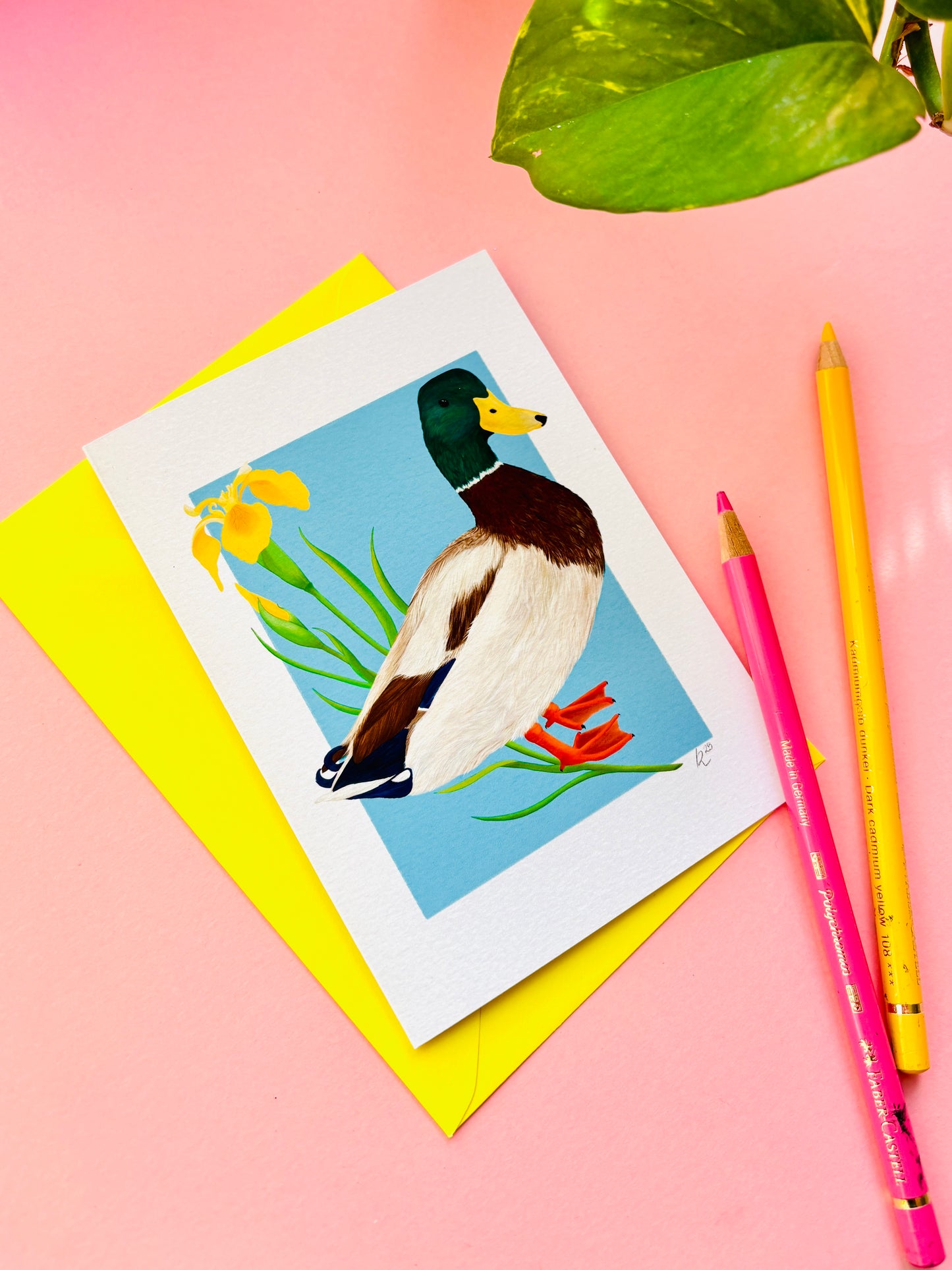 Illustrated Mallard Duck Art Card