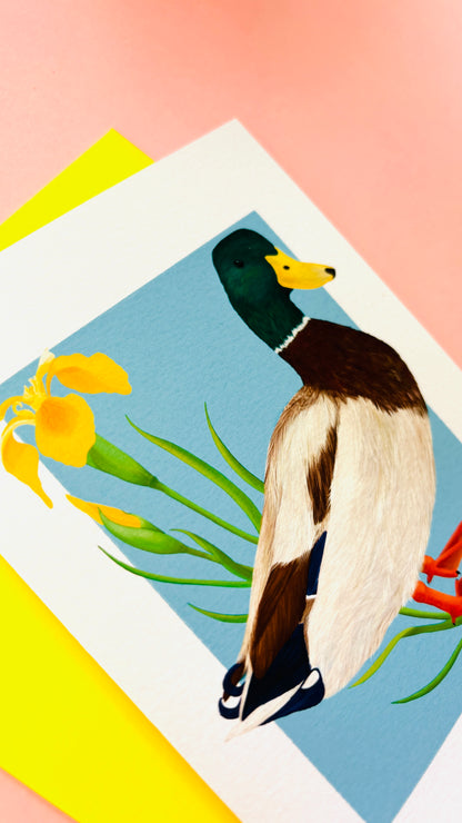 Illustrated Mallard Duck Art Card