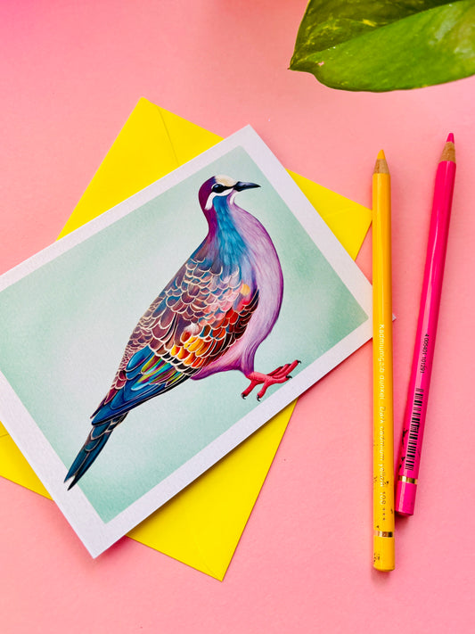 Bronze-Wing Pigeon Blank Art Card- Wildlife Illustration