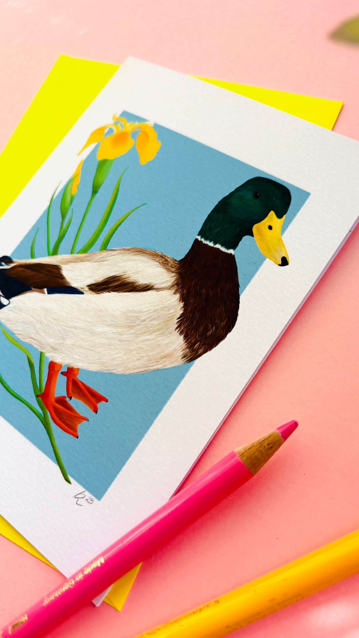 Illustrated Mallard Duck Art Card