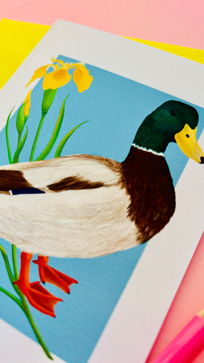 Illustrated Mallard Duck Art Card