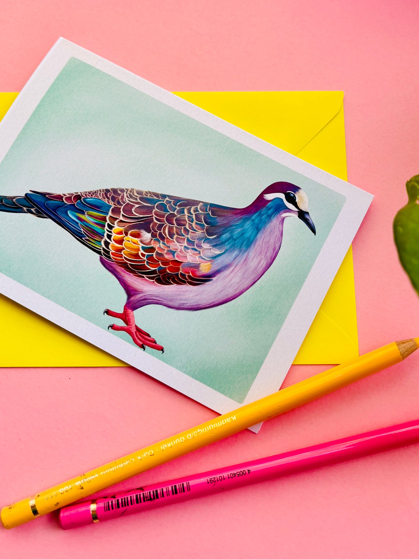 Bronze-Wing Pigeon Blank Art Card- Wildlife Illustration