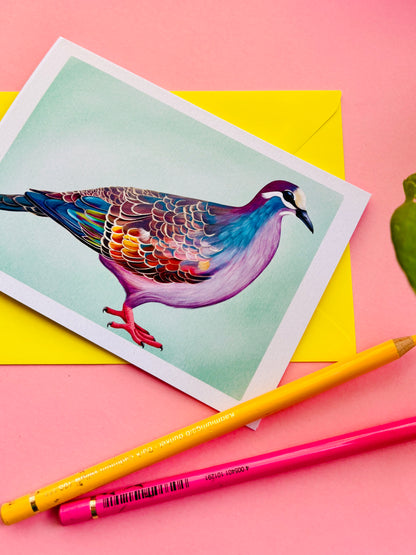 Bronze-Wing Pigeon Blank Art Card- Wildlife Illustration