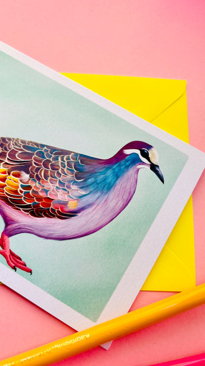 Bronze-Wing Pigeon Blank Art Card- Wildlife Illustration