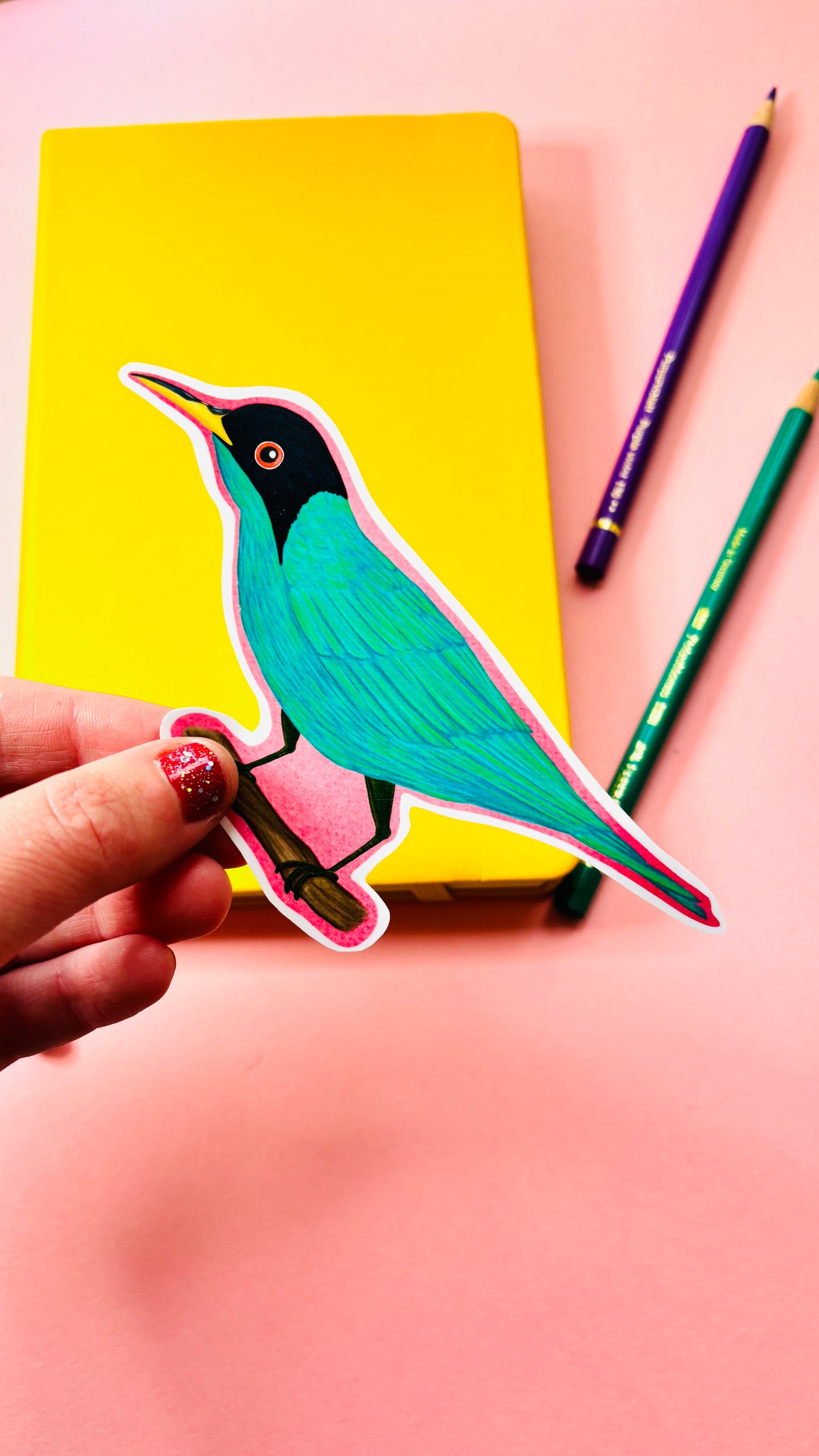 Green honeycreeper illustrated vinyl sticker