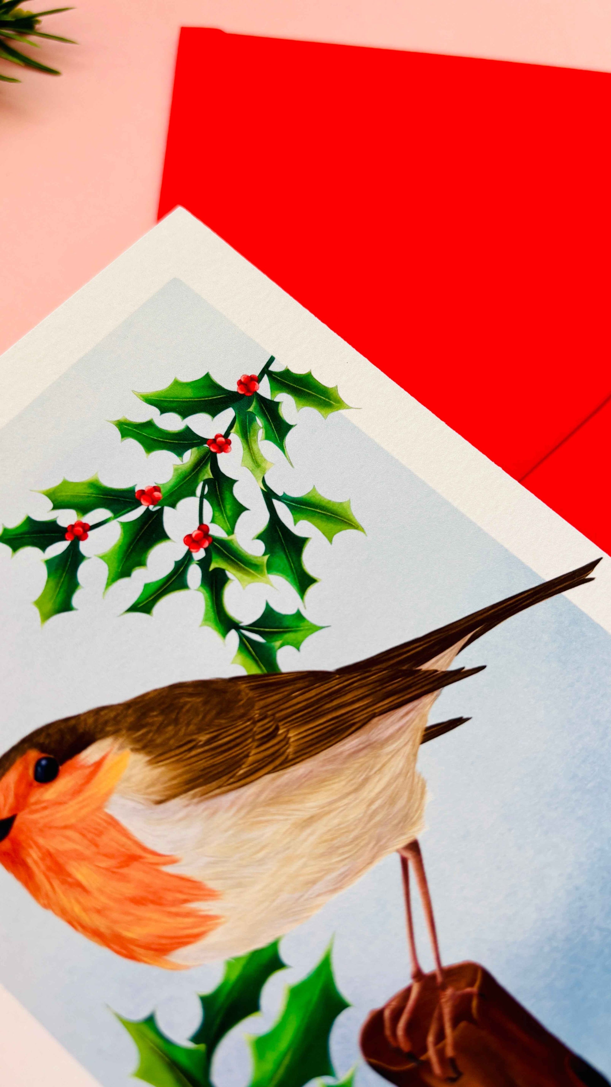Illustrated Robin Christmas Card