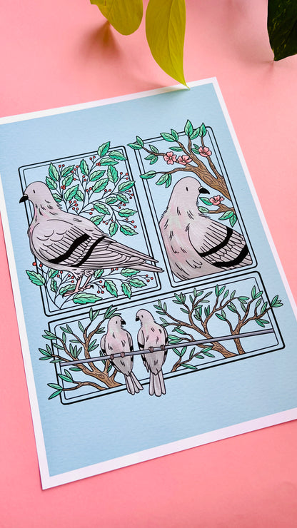 Pigeon Love Illustrated Art Print- Nature Wall Art