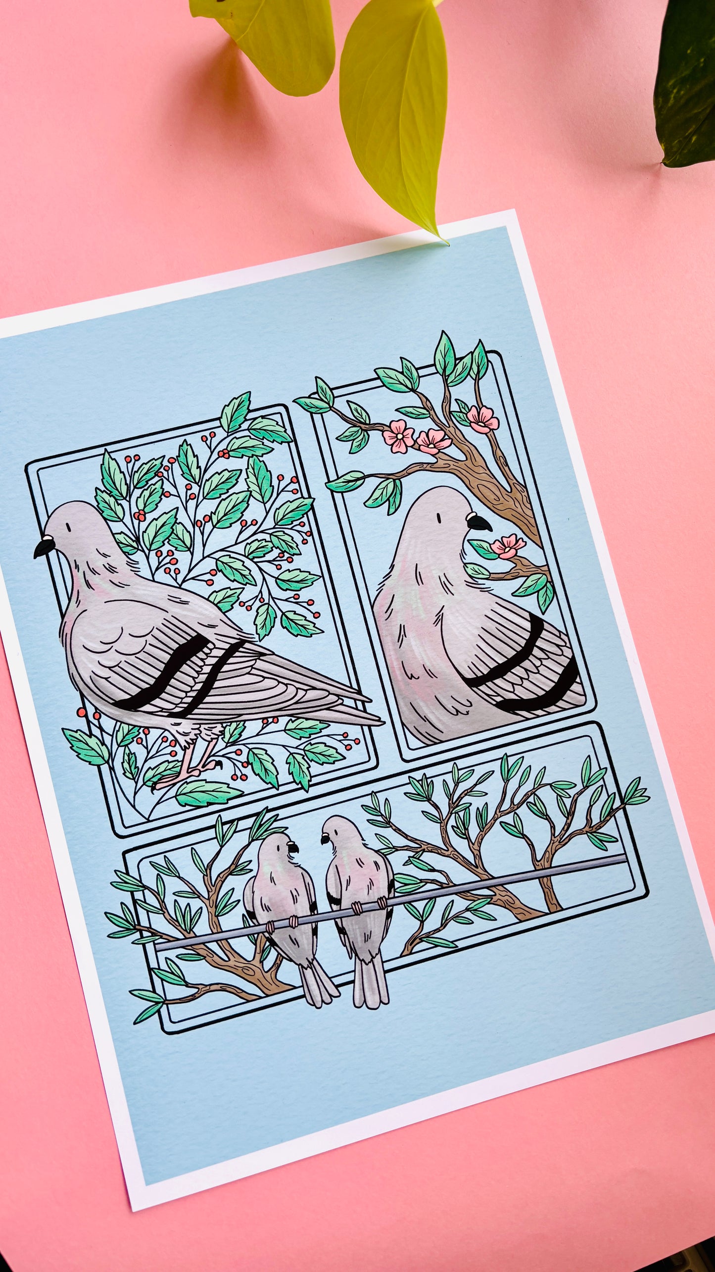 Pigeon Love Illustrated Art Print- Nature Wall Art