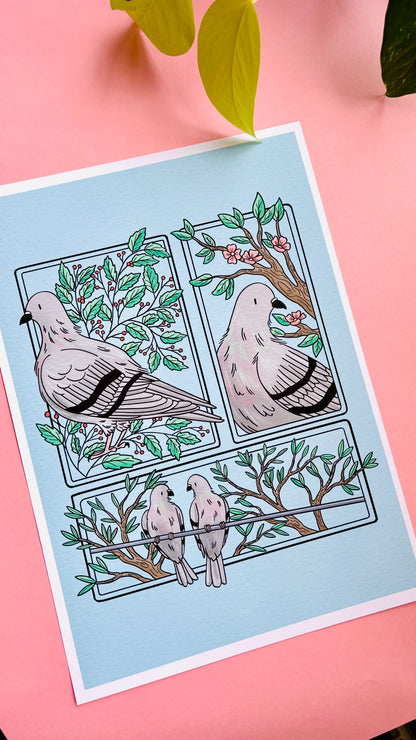 Pigeon Love Illustrated Art Print- Nature Wall Art