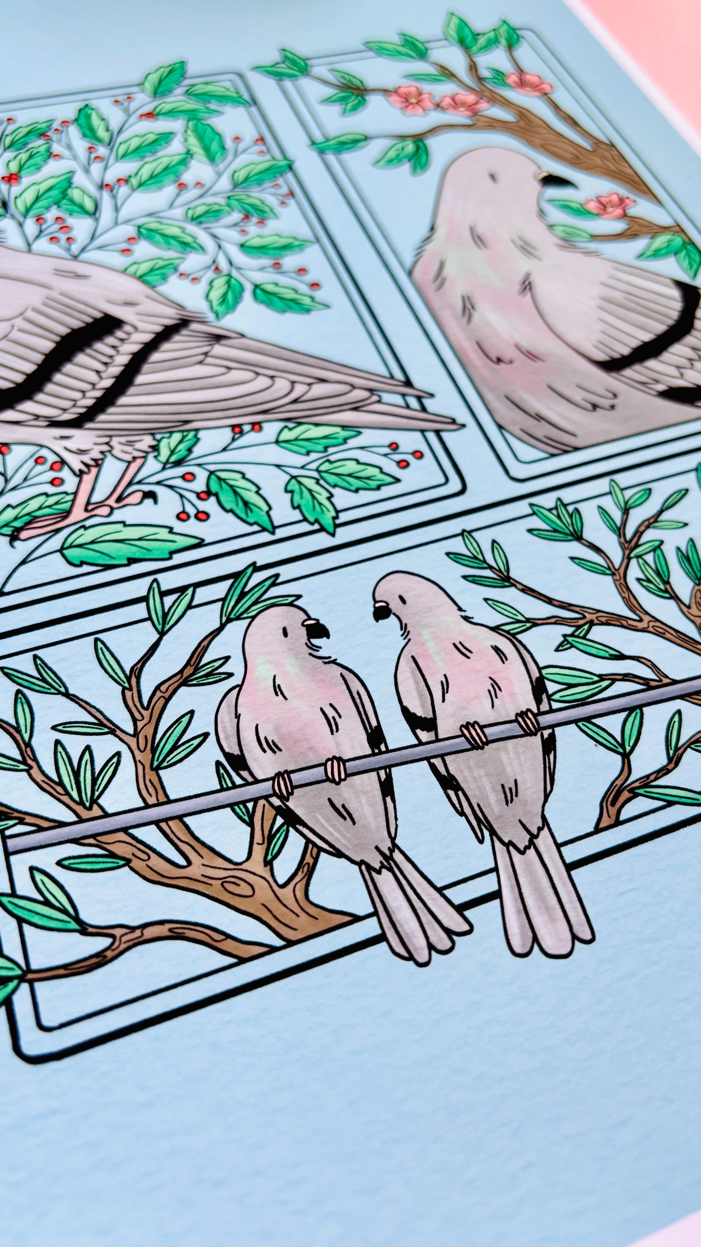 Pigeon Love Illustrated Art Print- Nature Wall Art