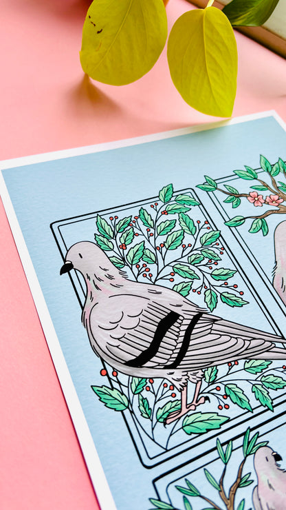 Pigeon Love Illustrated Art Print- Nature Wall Art