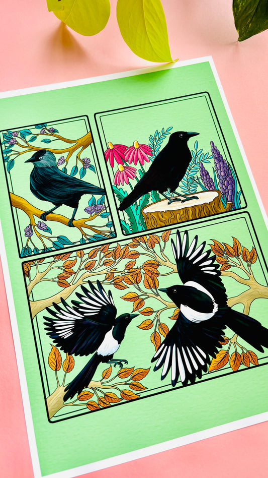 Corvid Illustrated Art Print- Nature Wall Art