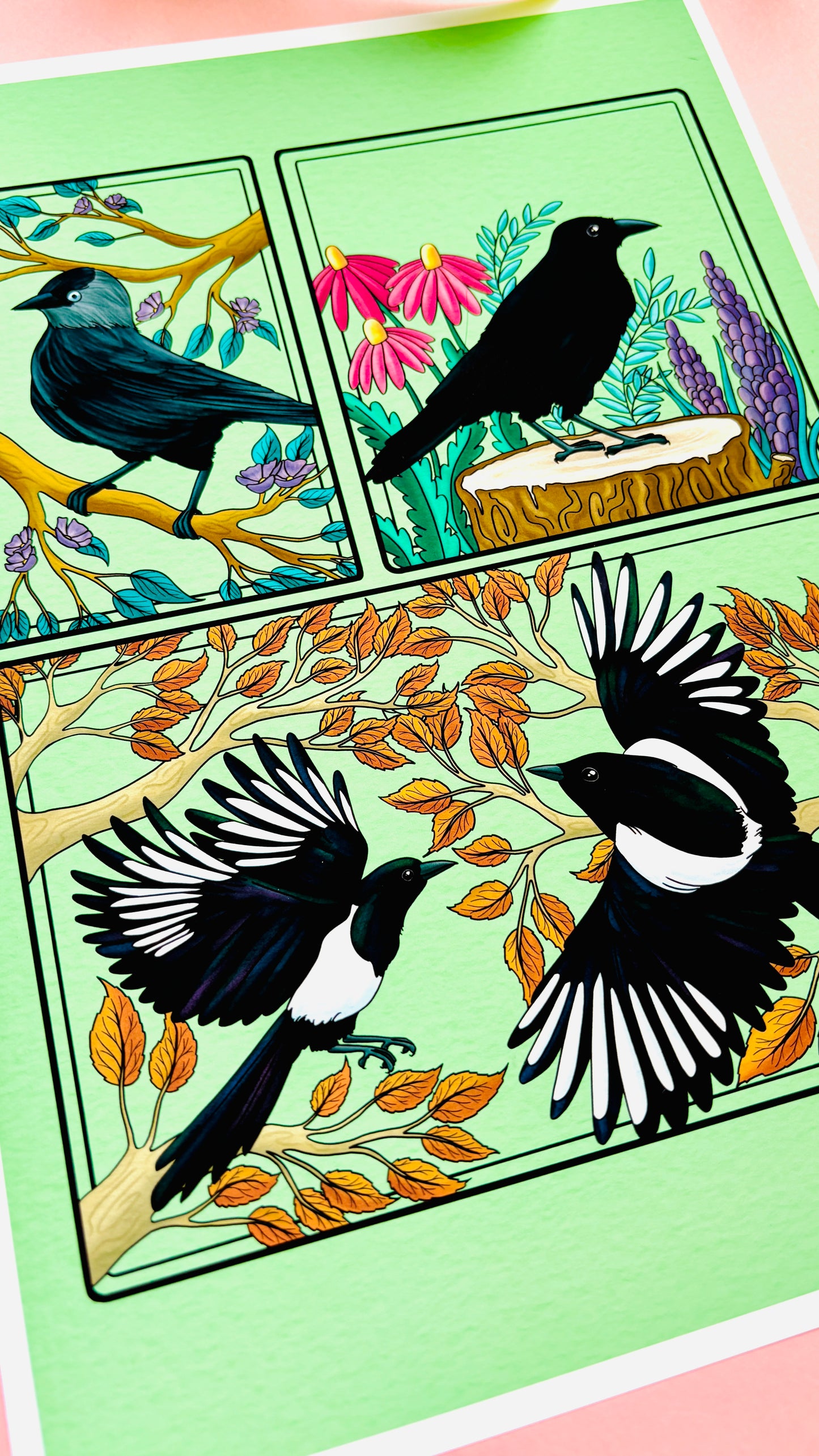 Corvid Illustrated Art Print- Nature Wall Art