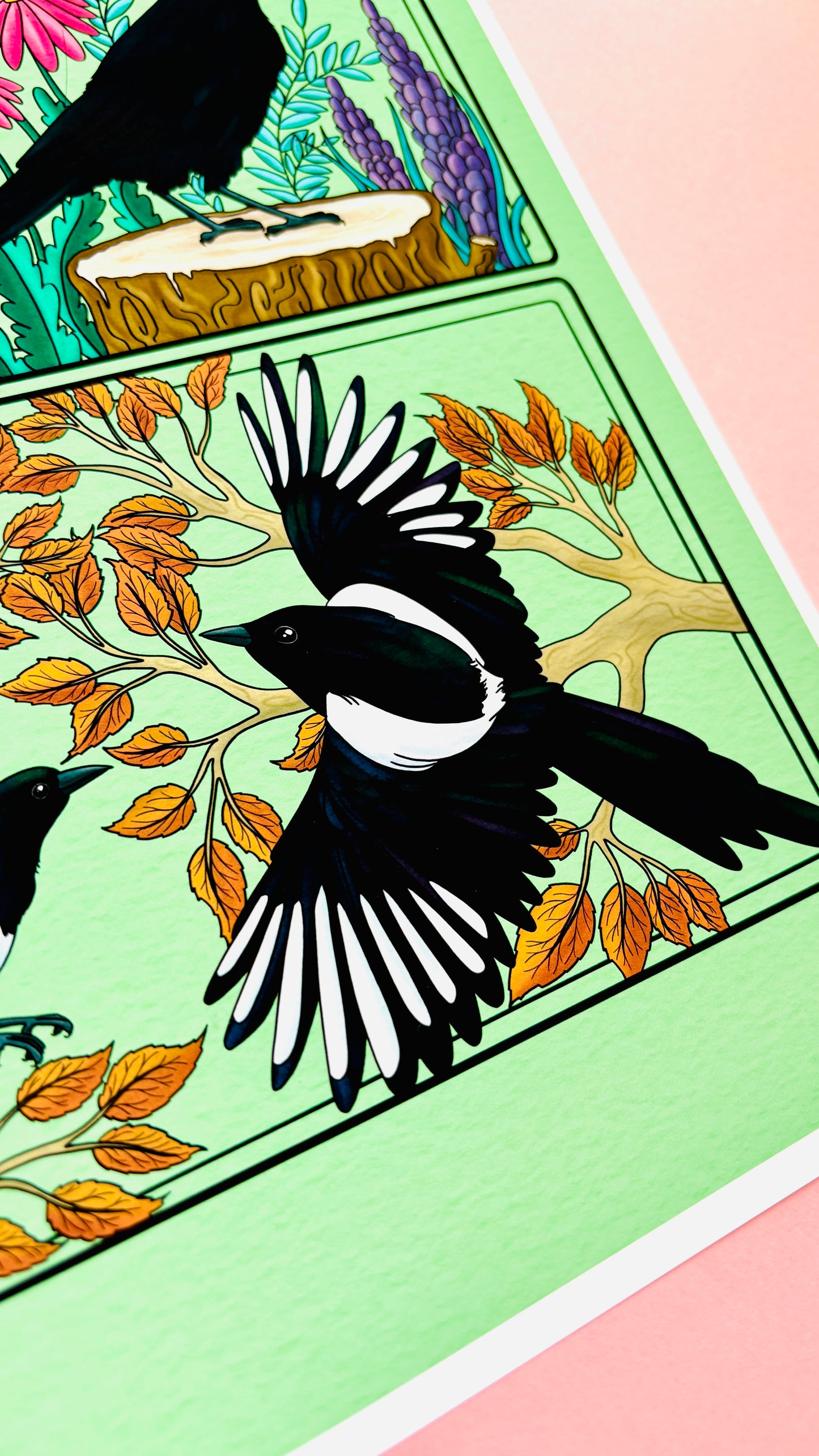 Corvid Illustrated Art Print- Nature Wall Art