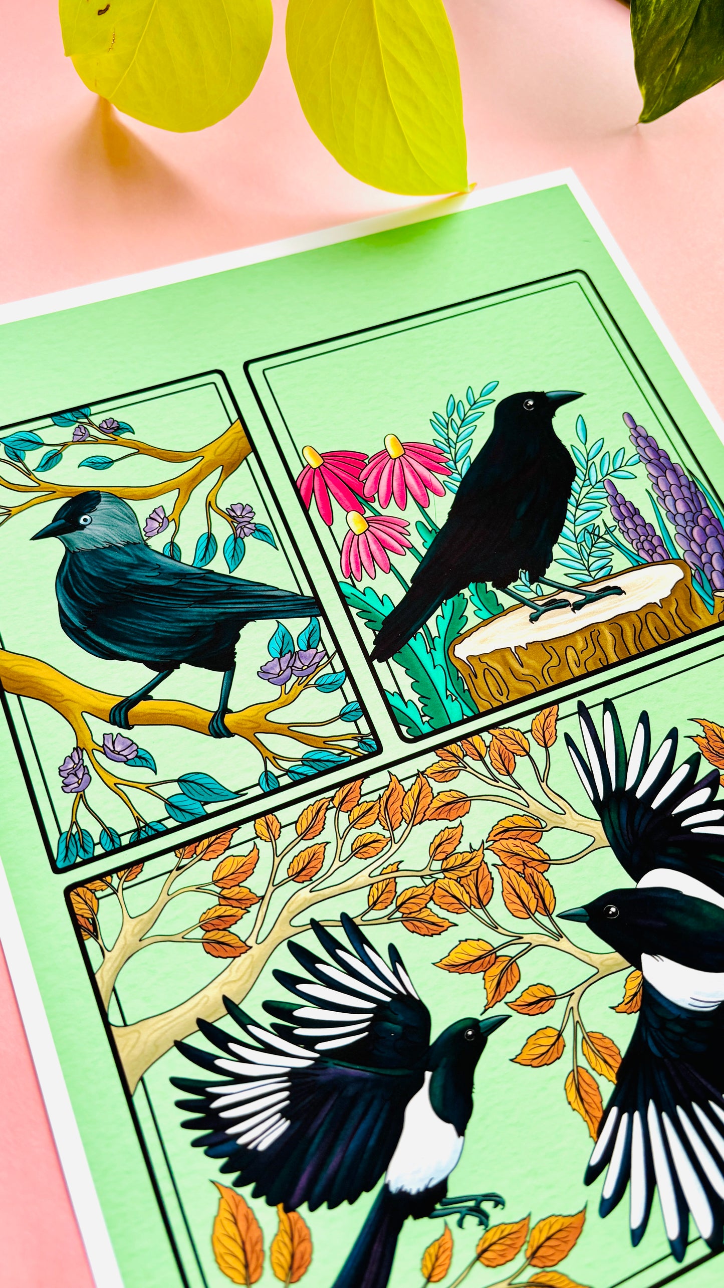 Corvid Illustrated Art Print- Nature Wall Art