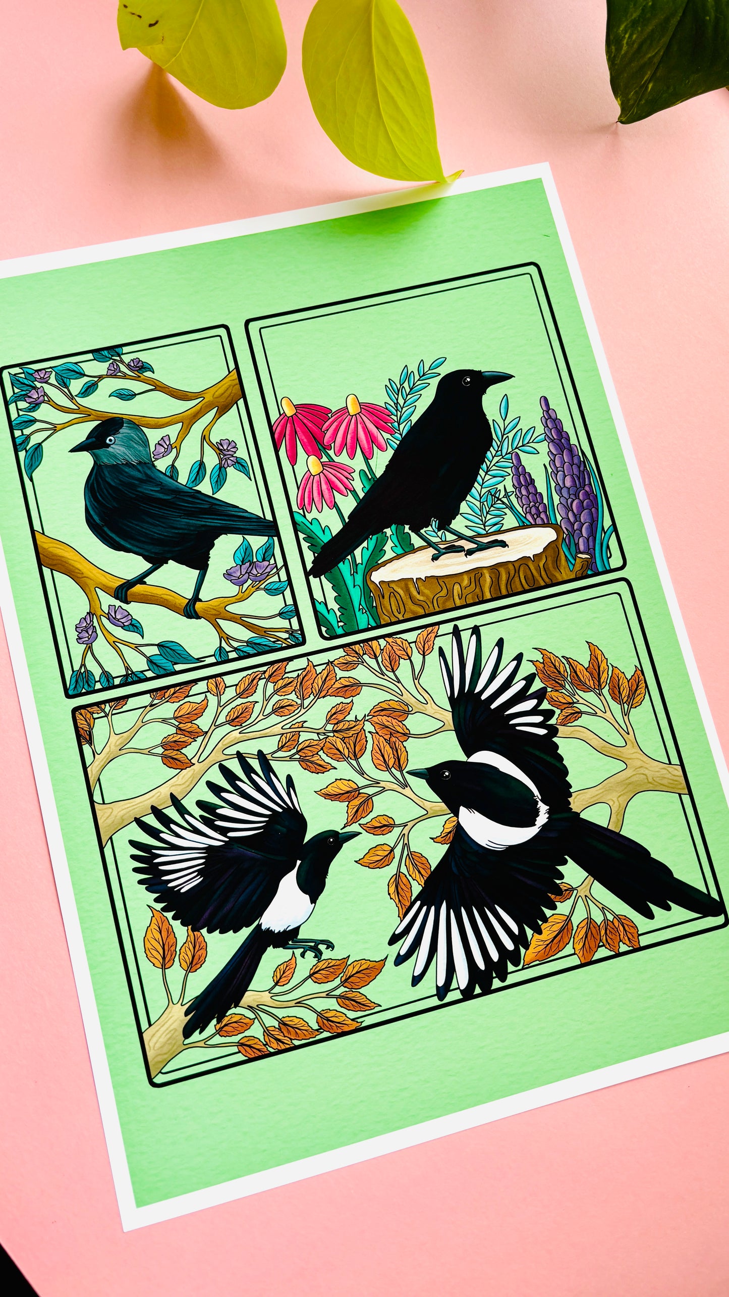 Corvid Illustrated Art Print- Nature Wall Art