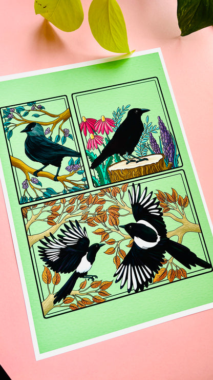 Corvid Illustrated Art Print- Nature Wall Art