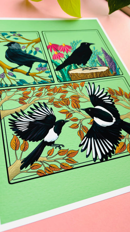 Corvid Illustrated Art Print- Nature Wall Art