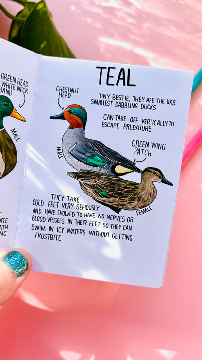 It’s not a duck zine- a funny guide to British ducks