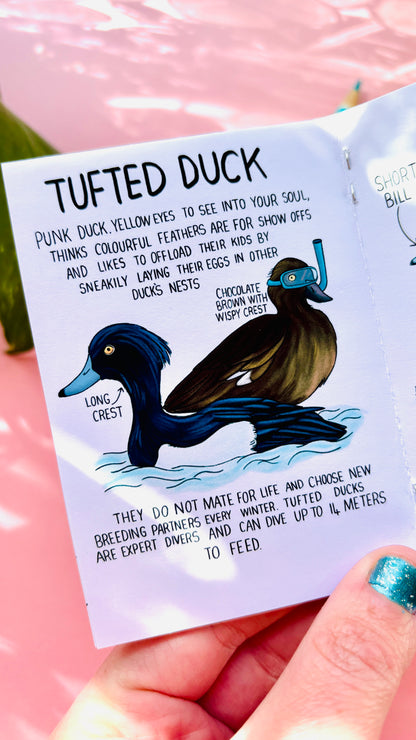 It’s not a duck zine- a funny guide to British ducks