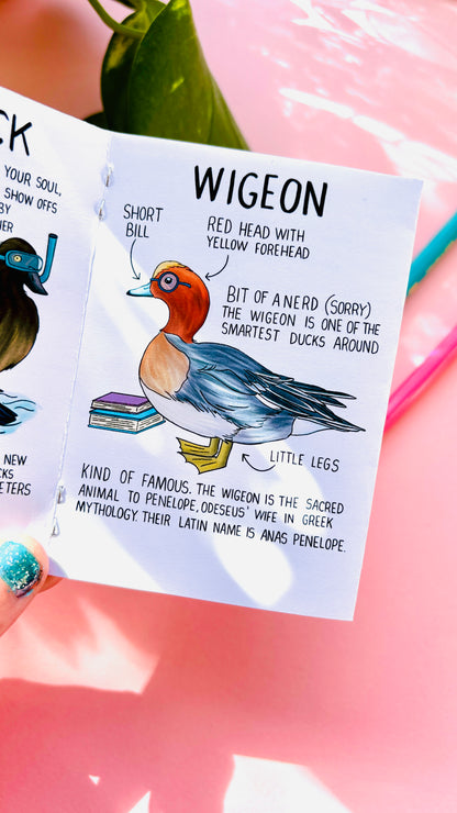 It’s not a duck zine- a funny guide to British ducks