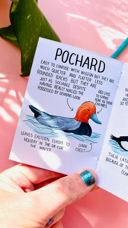 It’s not a duck zine- a funny guide to British ducks