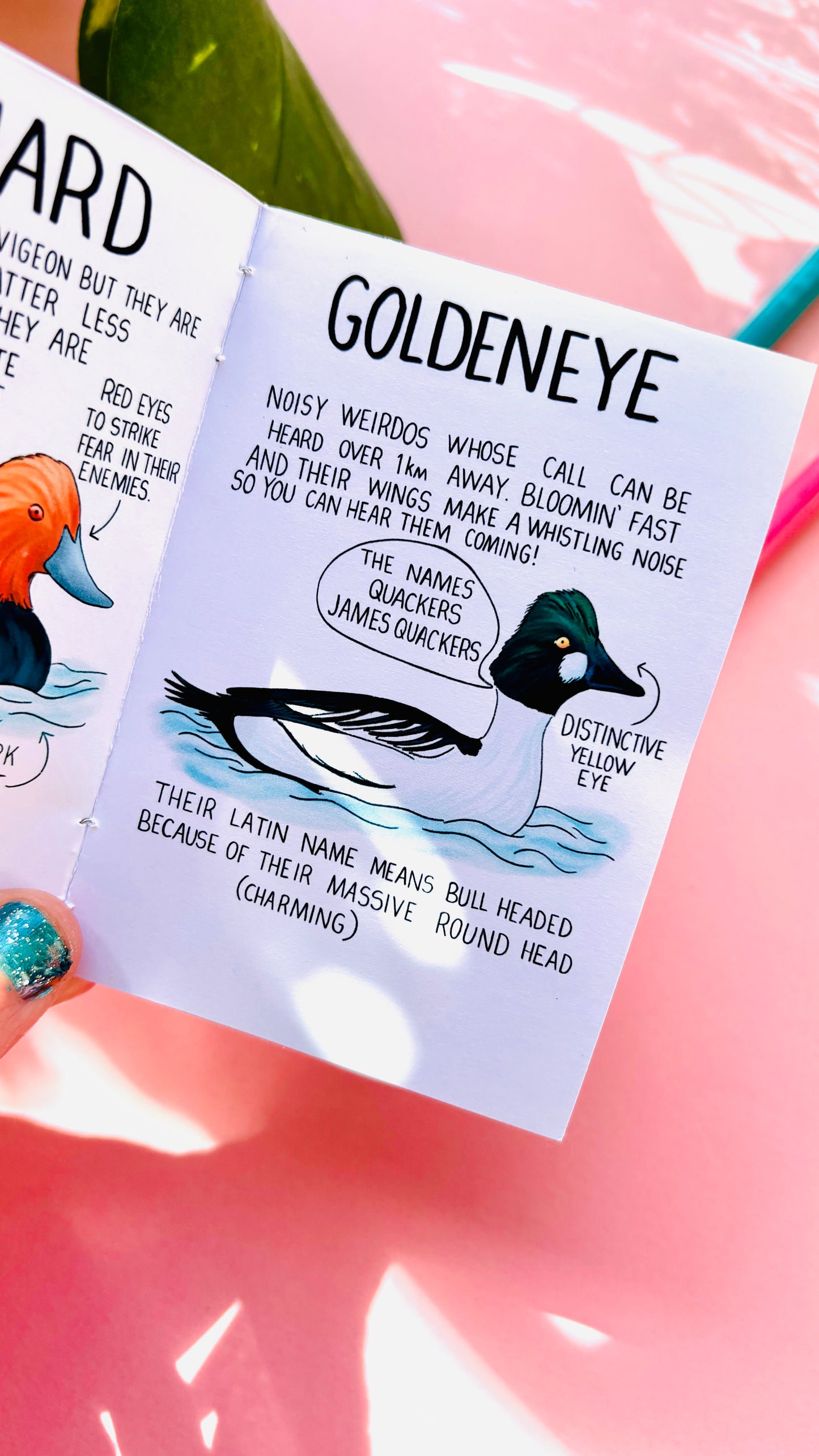 It’s not a duck zine- a funny guide to British ducks