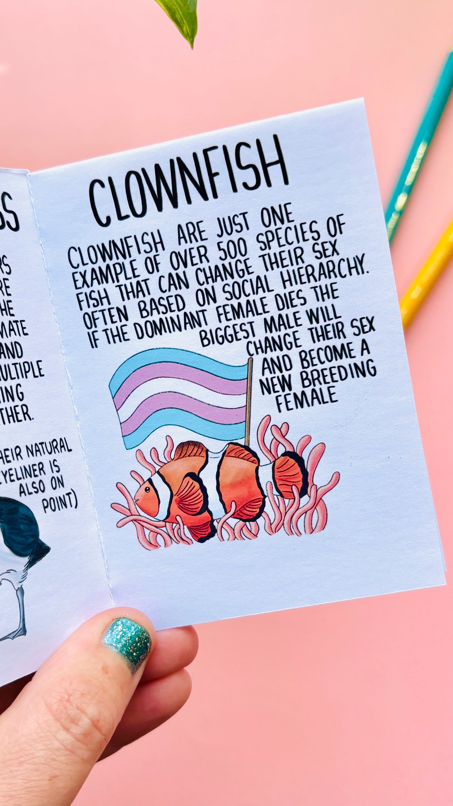 Queerly Natural- A LGBTQ+ Pride in Nature Charity Zine