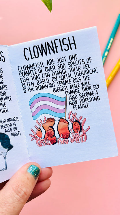 Queerly Natural- A LGBTQ+ Pride in Nature Charity Zine