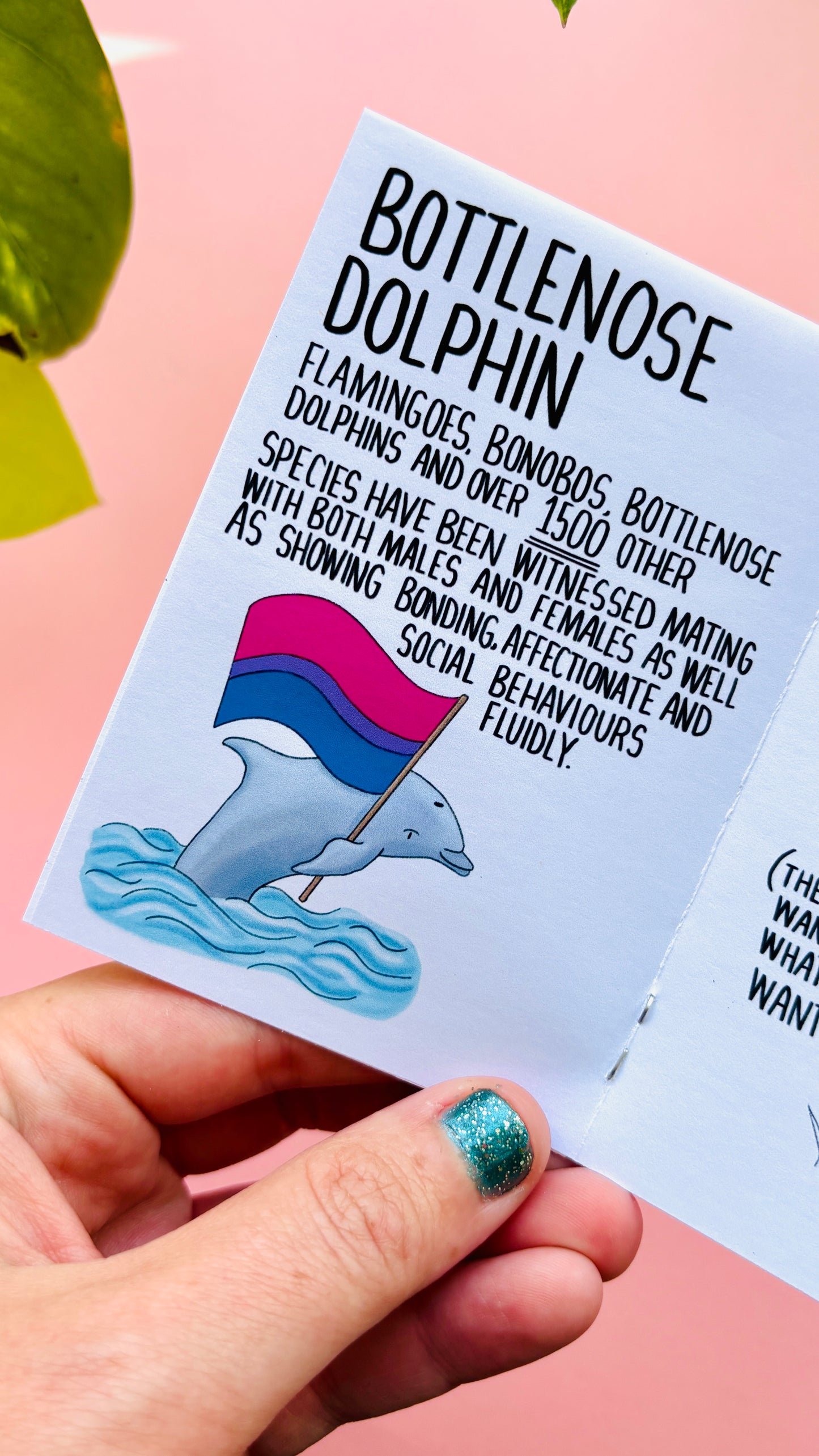 Queerly Natural- A LGBTQ+ Pride in Nature Charity Zine