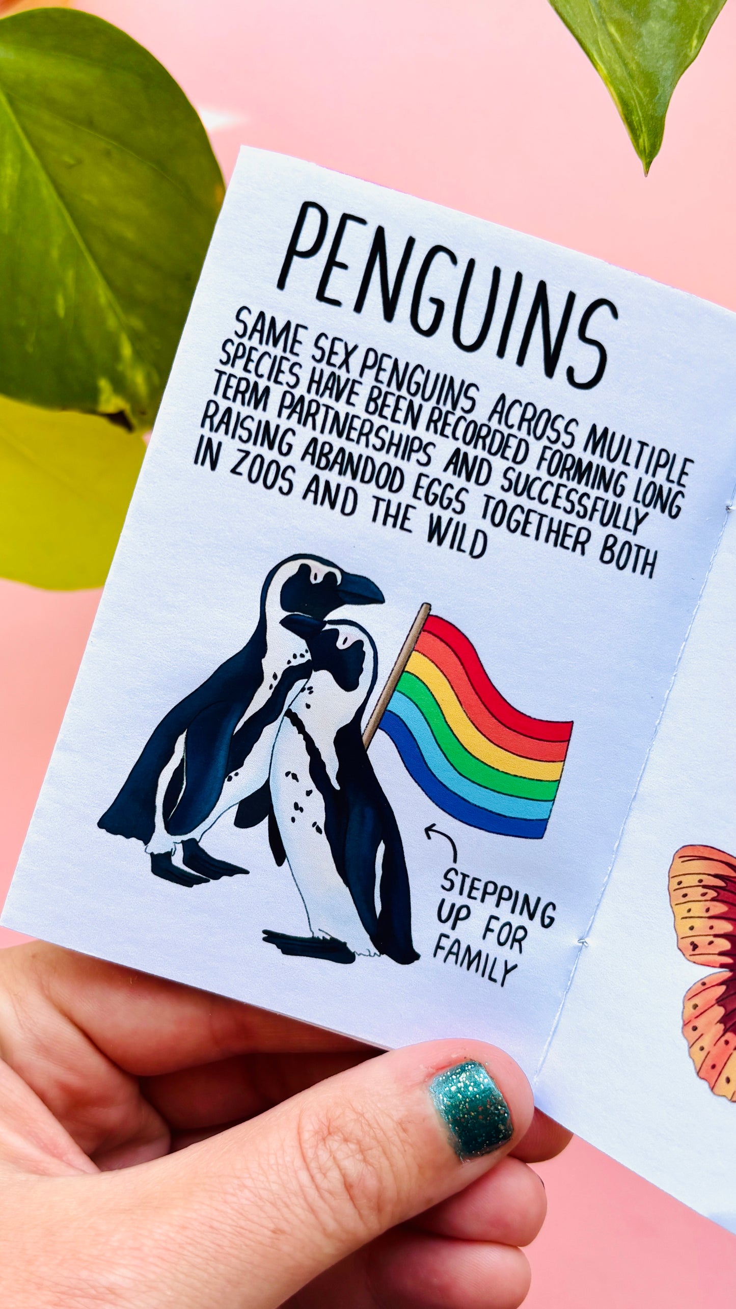 Queerly Natural- A LGBTQ+ Pride in Nature Charity Zine