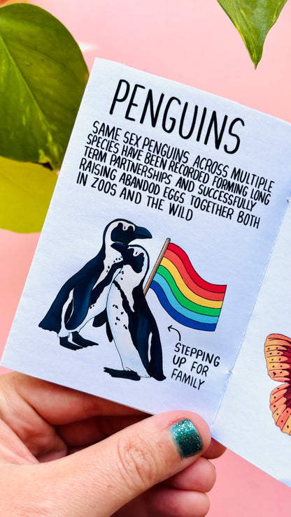Queerly Natural- A LGBTQ+ Pride in Nature Charity Zine