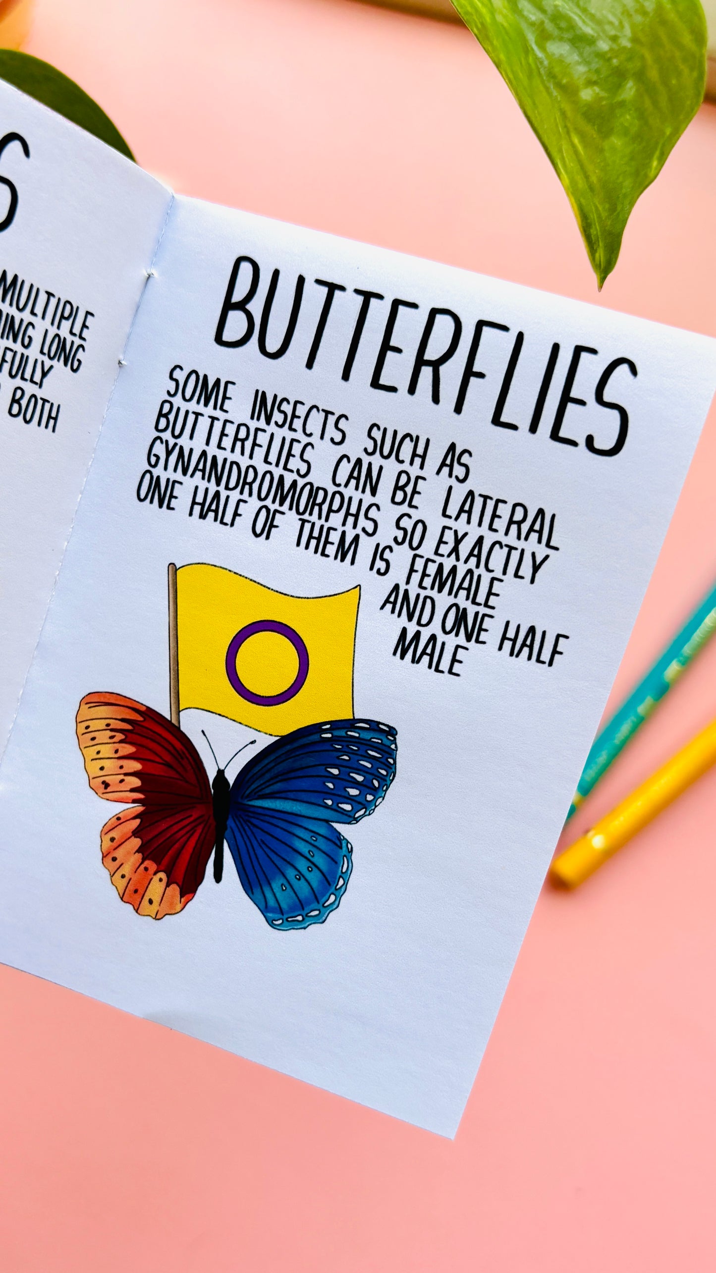 Queerly Natural- A LGBTQ+ Pride in Nature Charity Zine