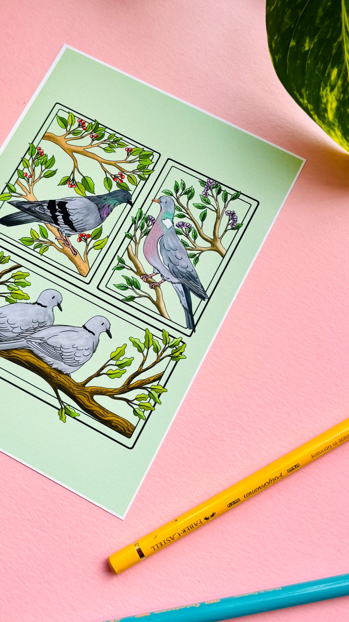 Pigeon & Doves British Birds Art Print