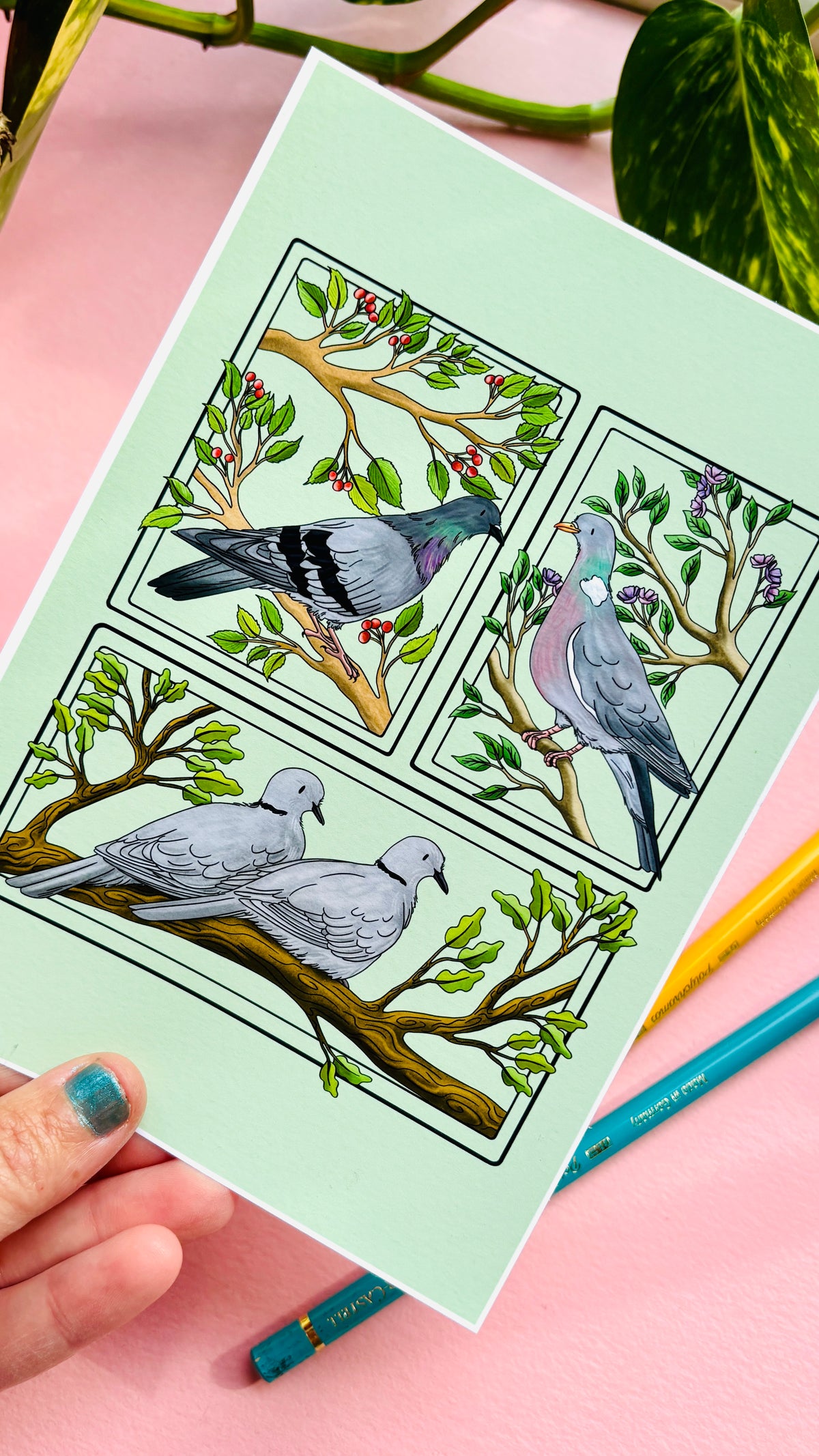 Pigeon & Doves British Birds Art Print