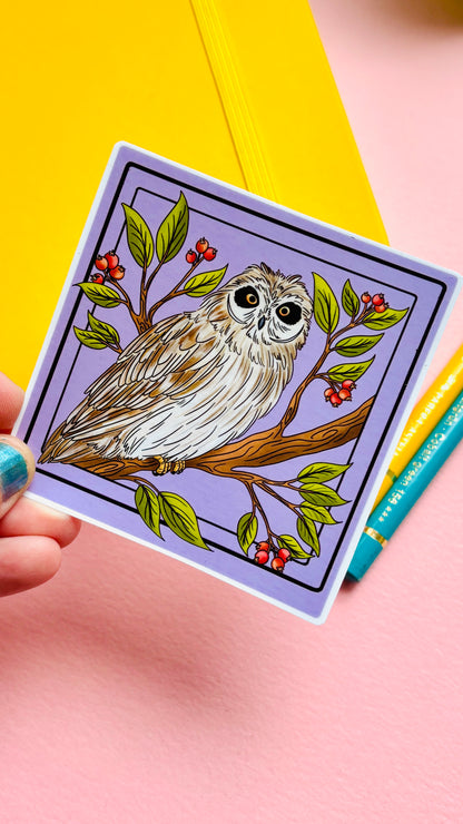 Short Eared Owl Illustrated Waterproof Sticker- Nature Stationery