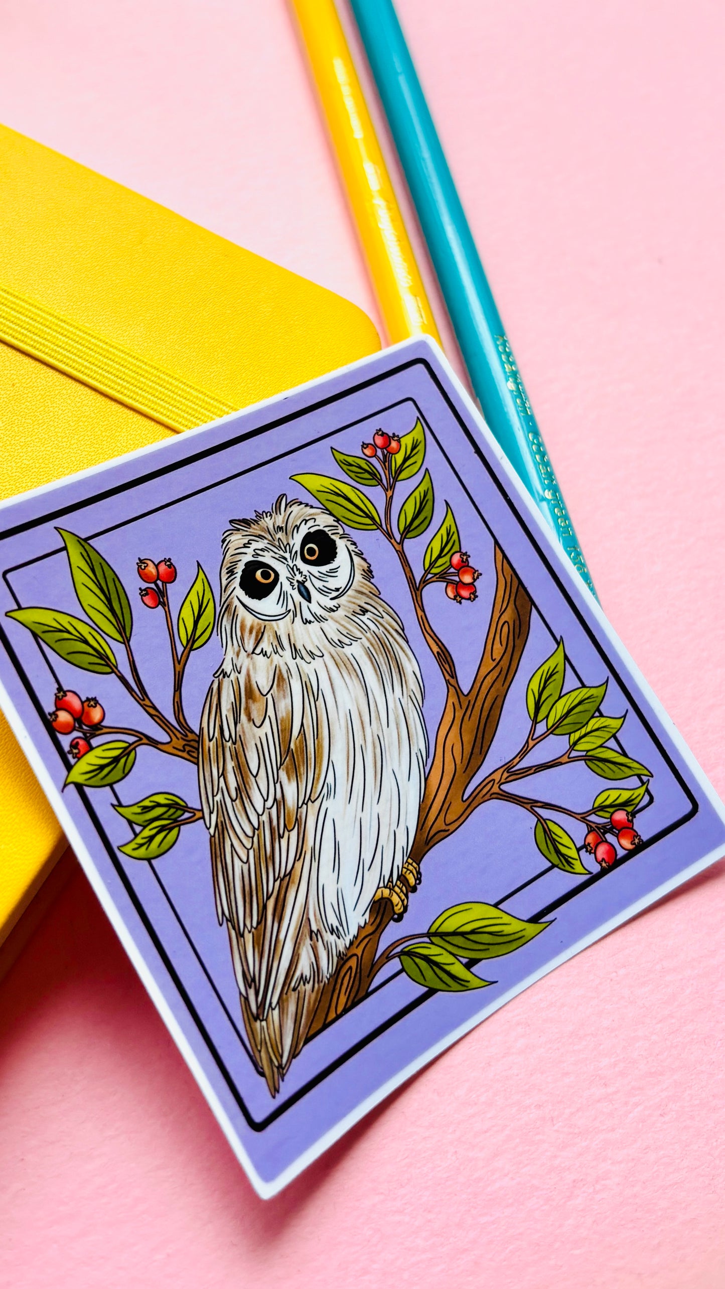 Short Eared Owl Illustrated Waterproof Sticker- Nature Stationery
