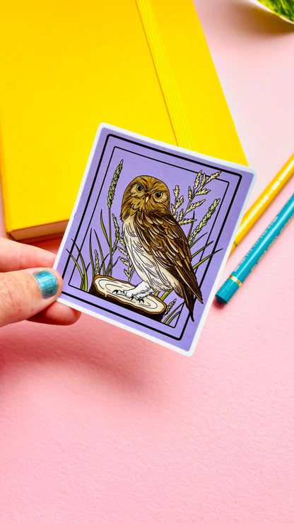 Little Owl Illustrated Waterproof Sticker- Nature Stationery