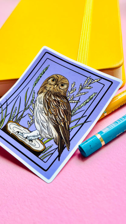 Little Owl Illustrated Waterproof Sticker- Nature Stationery