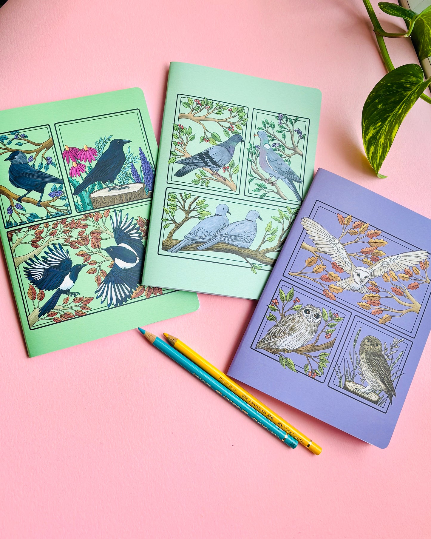A5 Pigeon and Doves Notebook- Illustrated British Birds Stationery