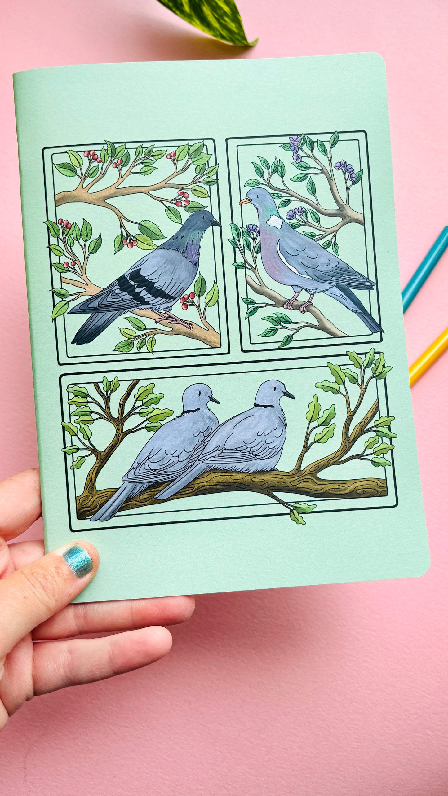 A5 Pigeon and Doves Notebook- Illustrated British Birds Stationery