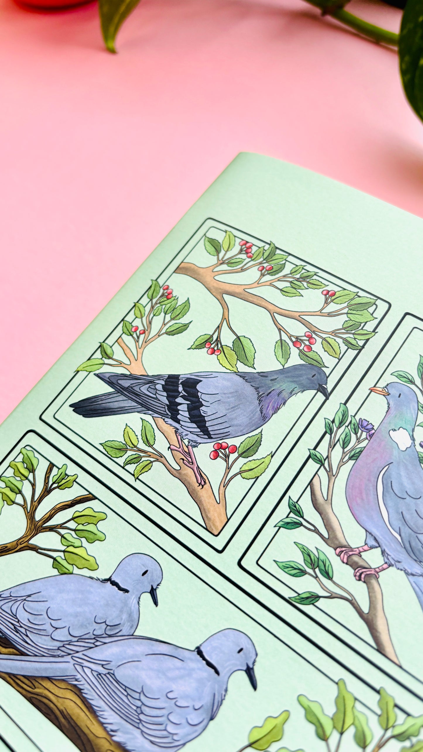 A5 Pigeon and Doves Notebook- Illustrated British Birds Stationery