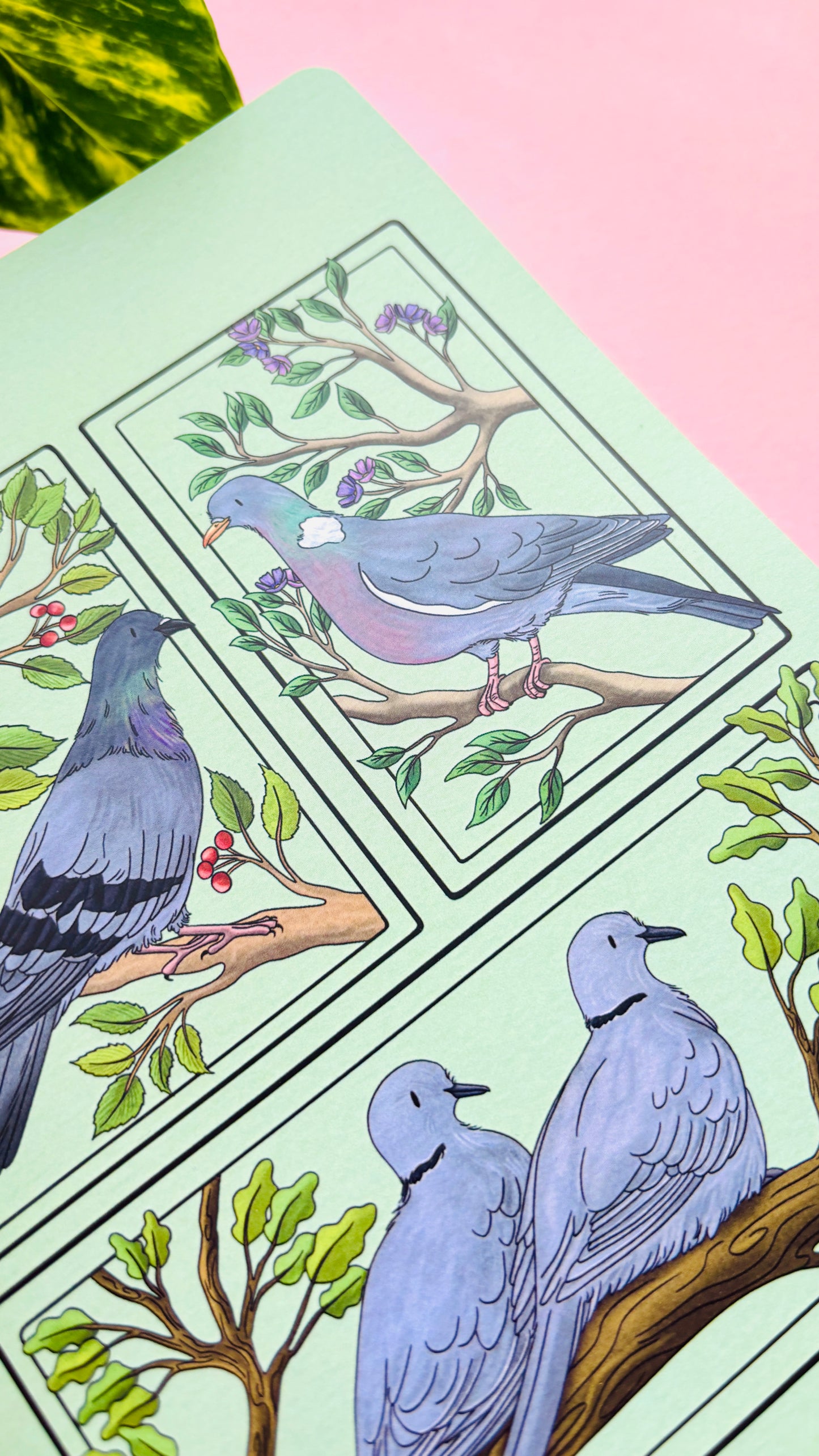 A5 Pigeon and Doves Notebook- Illustrated British Birds Stationery